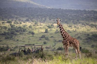Game Drives