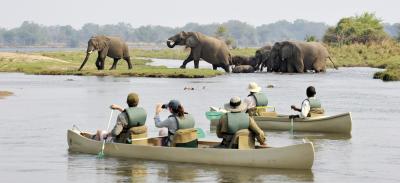 Canoe Trips