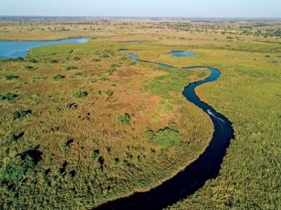 Motorboat Safaris