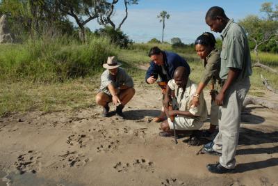 Walking Safaris