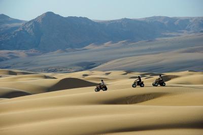 Thrilling Quad Bike Adventure