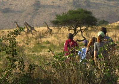Embark on Epic Walks