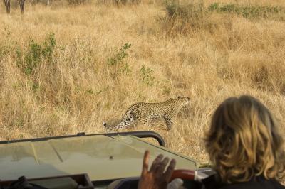 Game Drives
