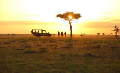  Sunset Sundowner