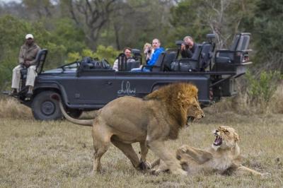 Dulini - Game Drives