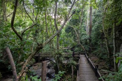 Gorge Walk
