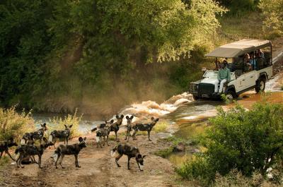 Game Drive