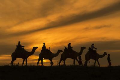 Camel Riding