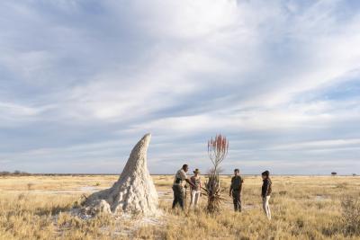 Interpretive Bush Walks