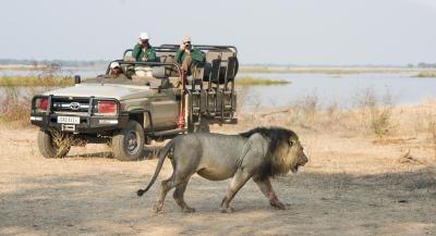Game Drives