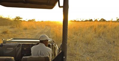 Night game drives