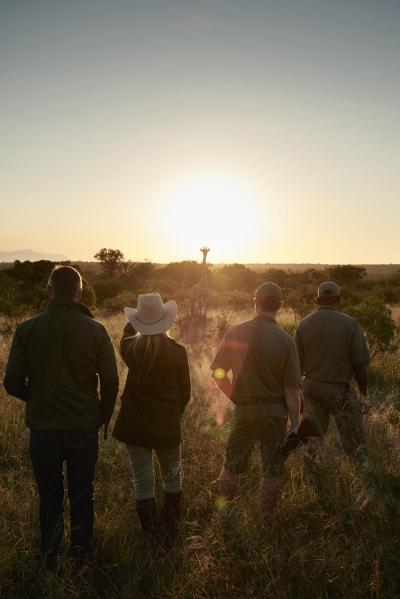 Bush Walks