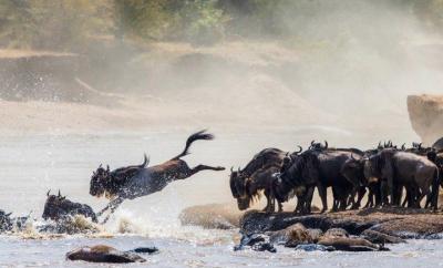 The Great Migration