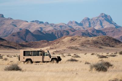 Nature Drives