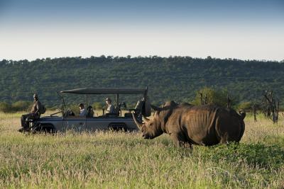 Game Drives