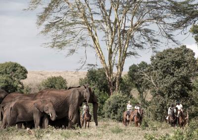 Horseback Safaris & Mountain Biking