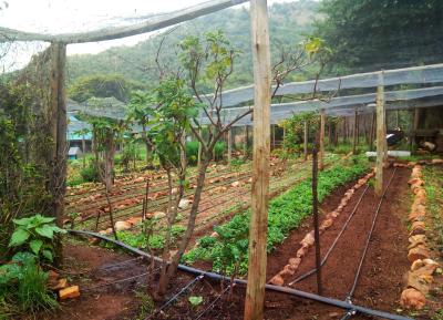 Sustainability Tour