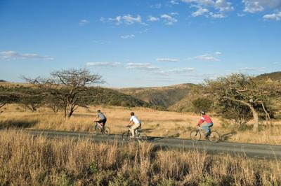 Mountain Biking