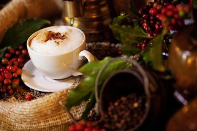 Coffee Tours