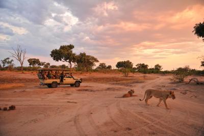 Game Drives