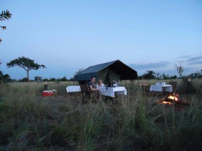FLY & BUSH CAMPING
