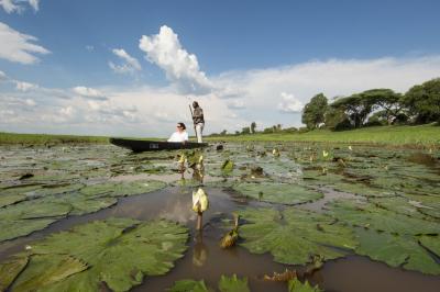 Mokoro Trips