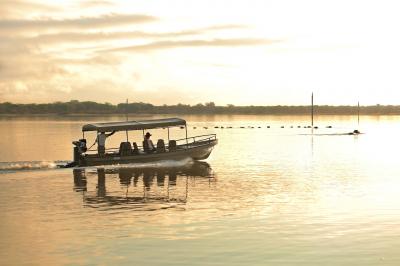 Boating Safaris