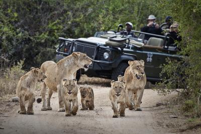 Game Drives