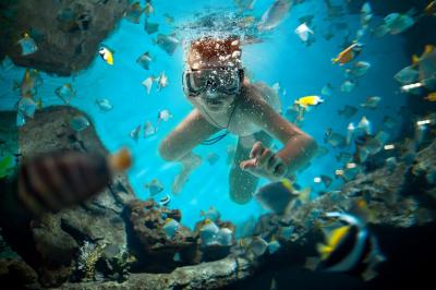 Scuba Safari 