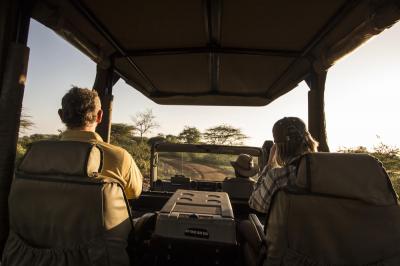 Night Game Drives