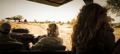 Night Game Drives