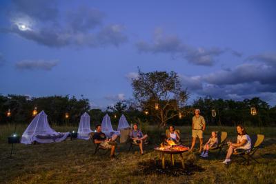 A Night Under the Stars 