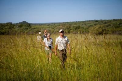 Walking in the Bush