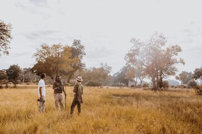 Guided Nature Walks