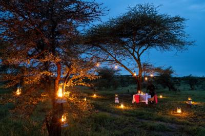 Private Dinner Under the Stars