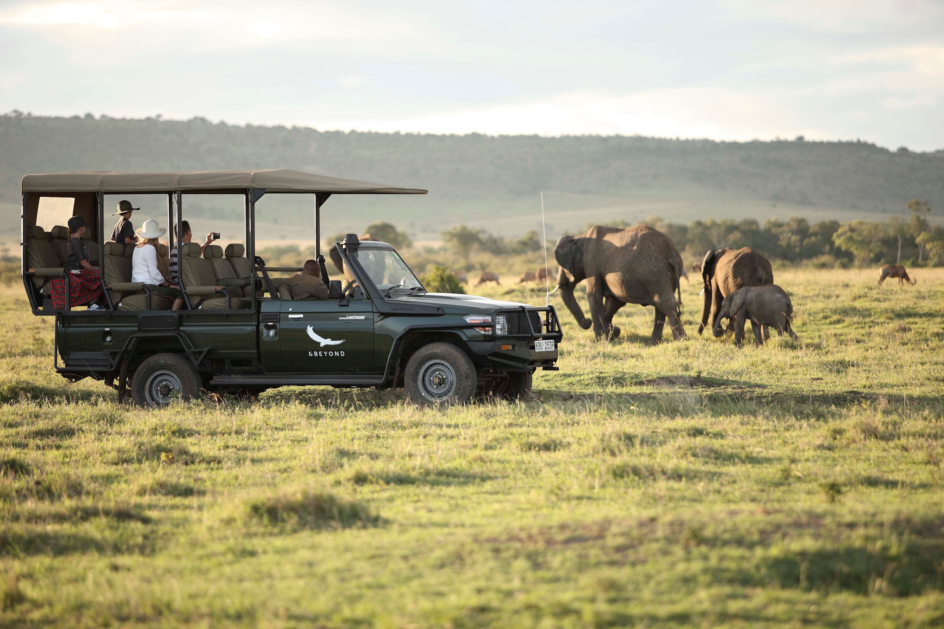 Kenya safari