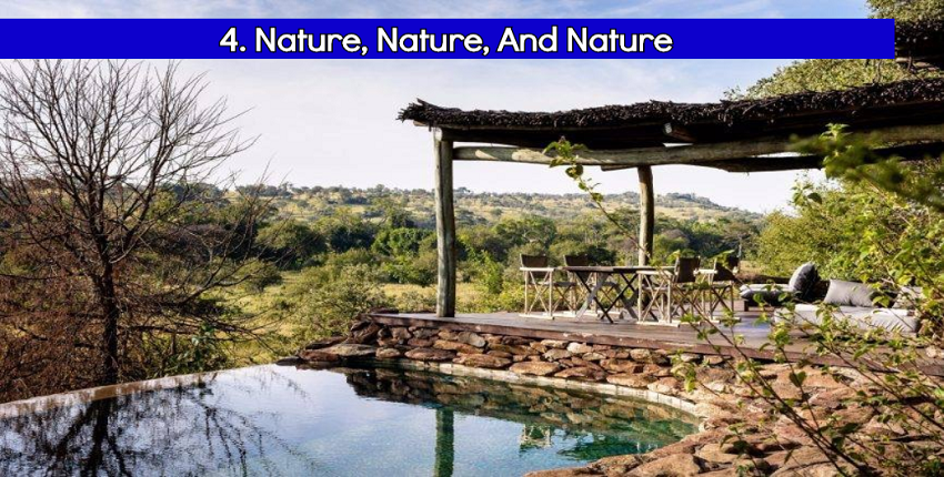 Nature, Nature, And Nature