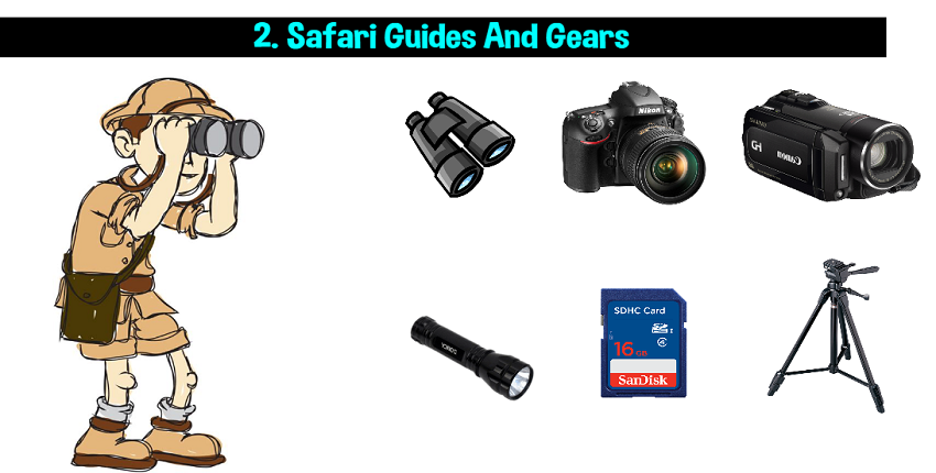 Guides And Gear