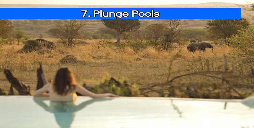 Plunge Pools