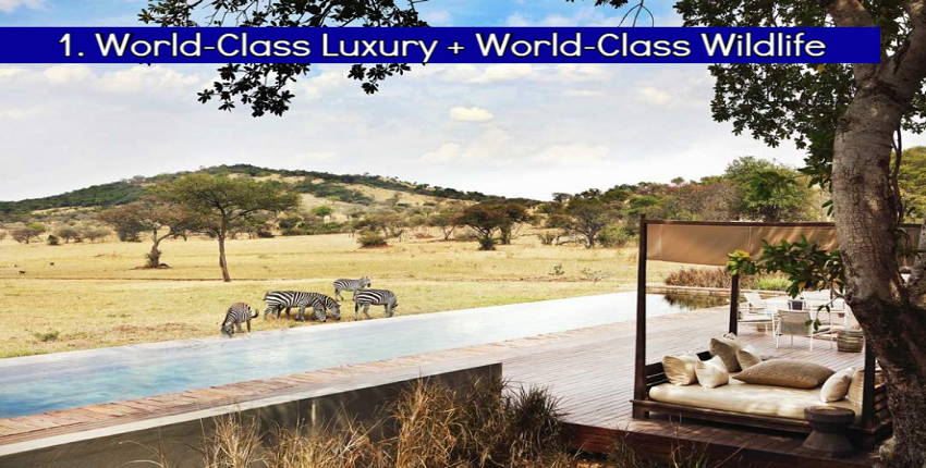World-Class Luxury + World-Class Wildlife