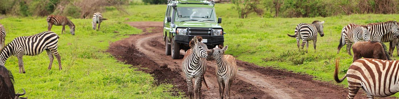 When to Go on an African Safari | Best Time to Visit Africa