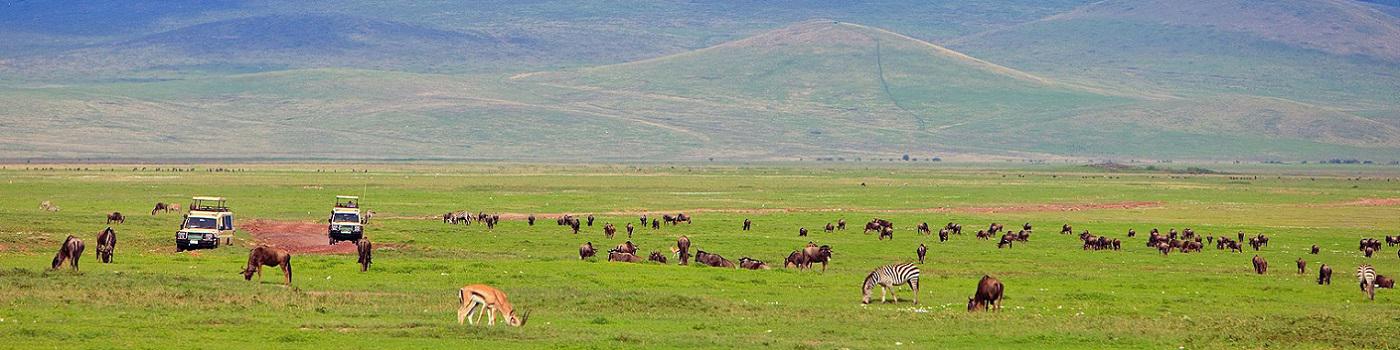 Saadani National Park safaris