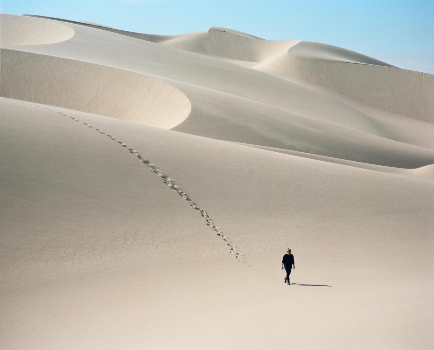Skeleton Coast safaris