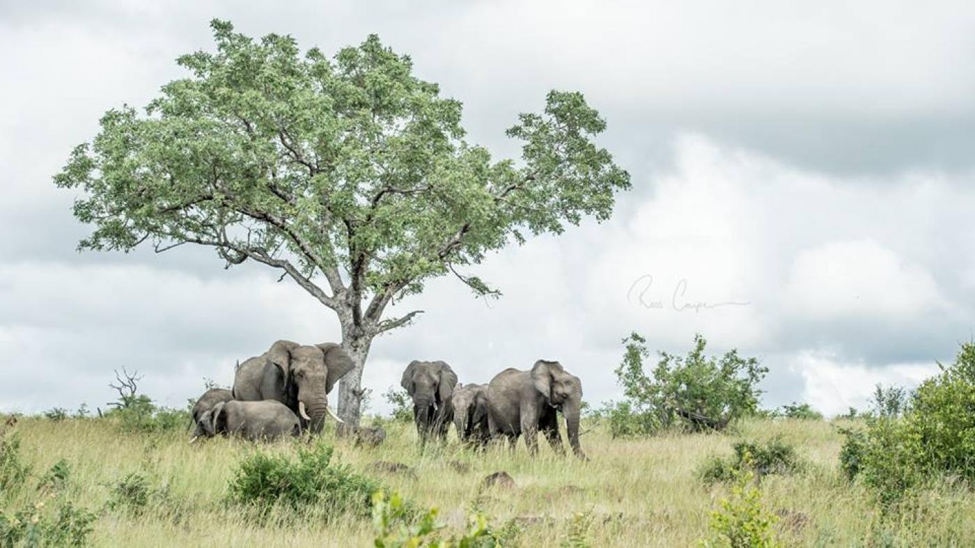 Arusha National Park safaris
