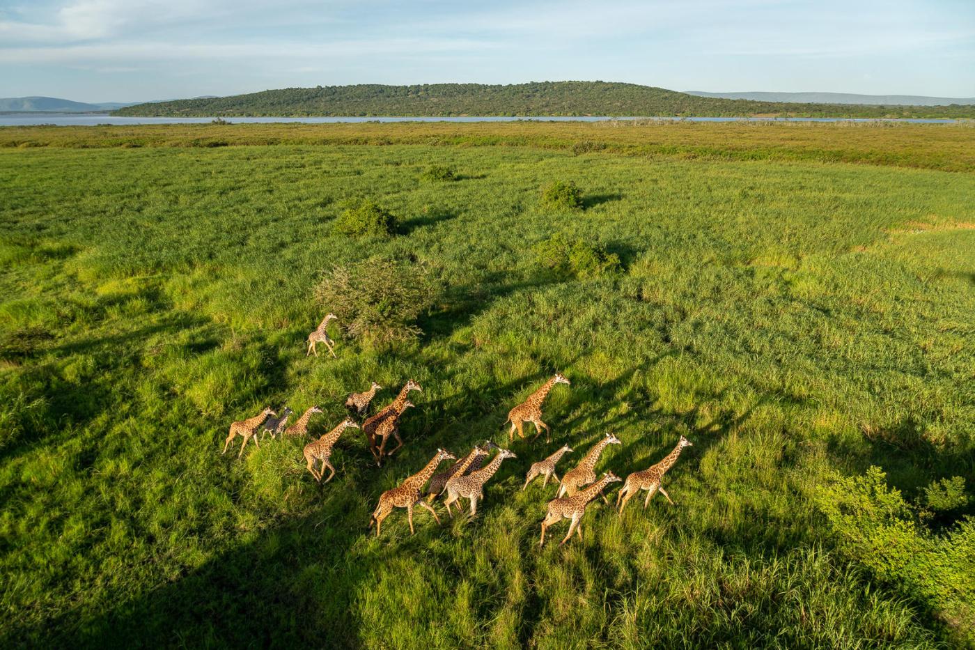 Akagera National Park  safaris