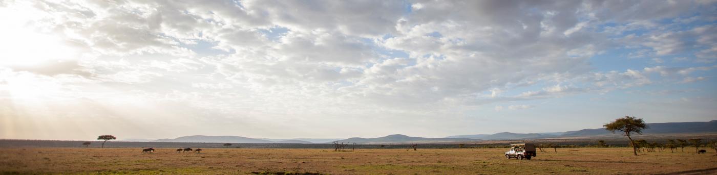 Masai Mara safaris