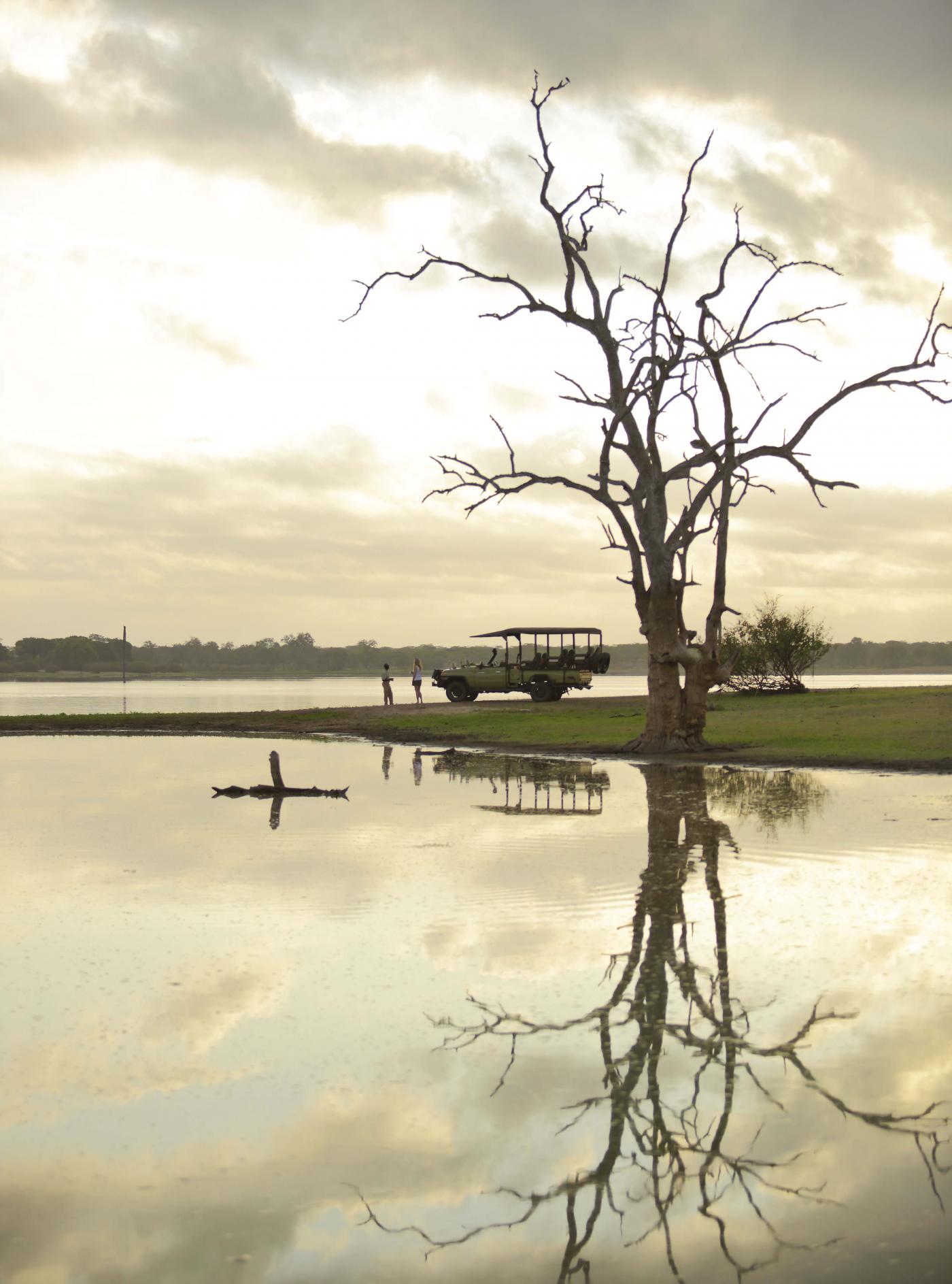 Nyerere National Park safaris
