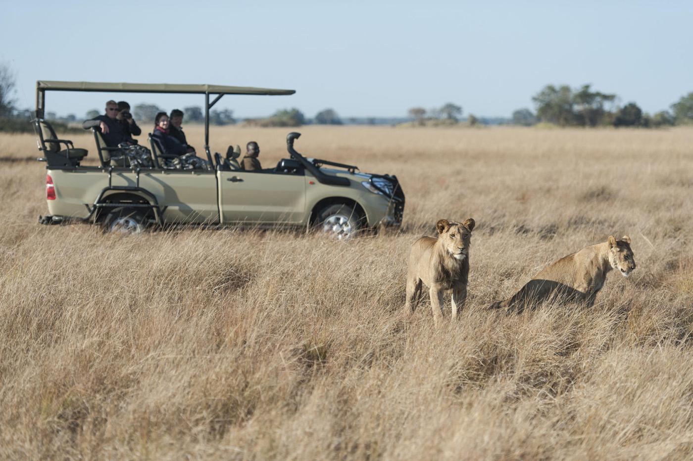 Kafue National Park  safaris