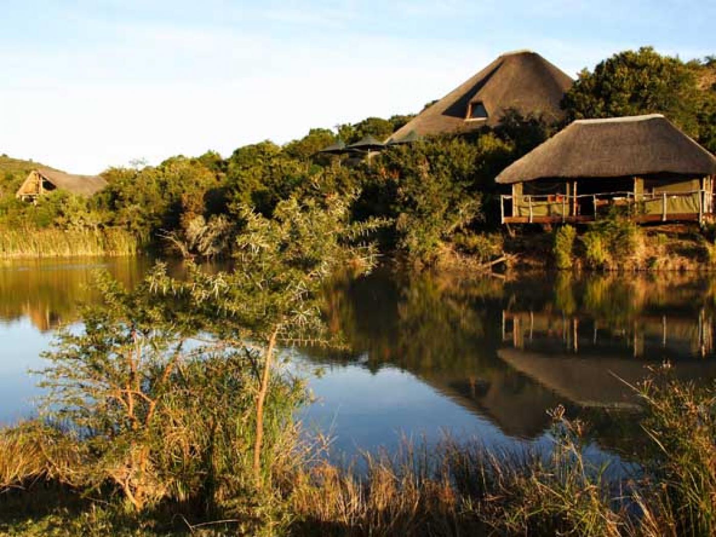 Eastern Cape  safaris