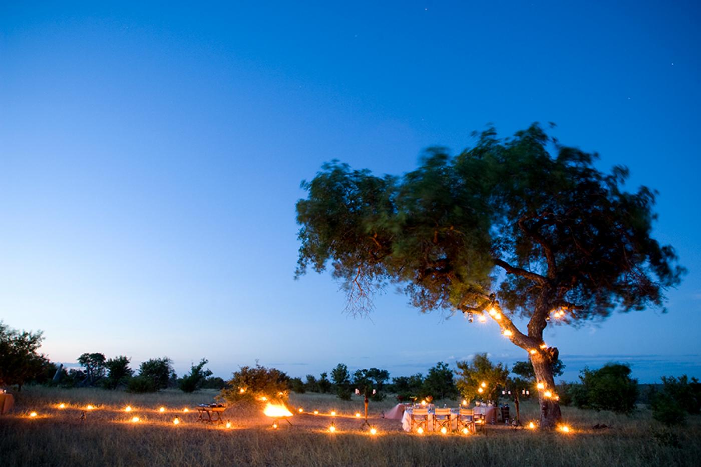 Kruger National Park  safaris